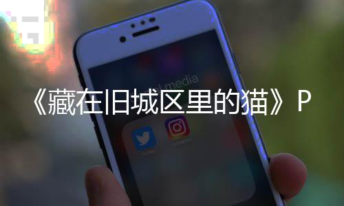 版下版分里的流下猫在旧载 m正载藏城区