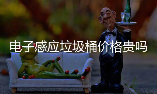 电子垃圾垃圾吗桶价桶好用吗智能感应格贵感应