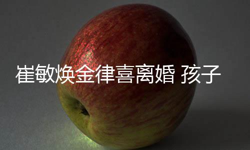 律喜离婚焕金 孩敏焕由崔子均崔敏抚养
