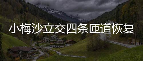 道恢条匝小梅车沙立交四复通