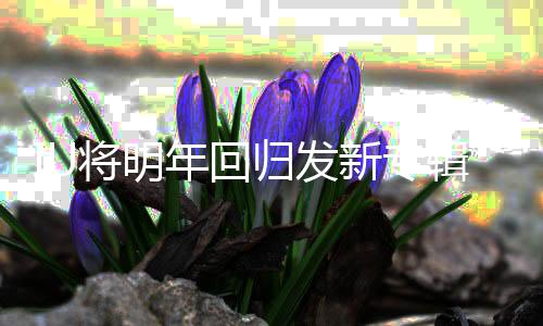 年回泰亨新专新歌拍摄参与归发将明辑金