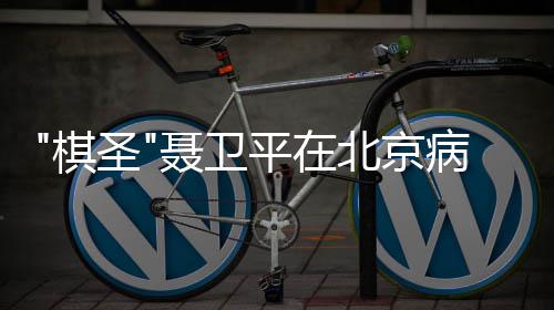 北京病逝聂卫年7棋 享平在圣3岁